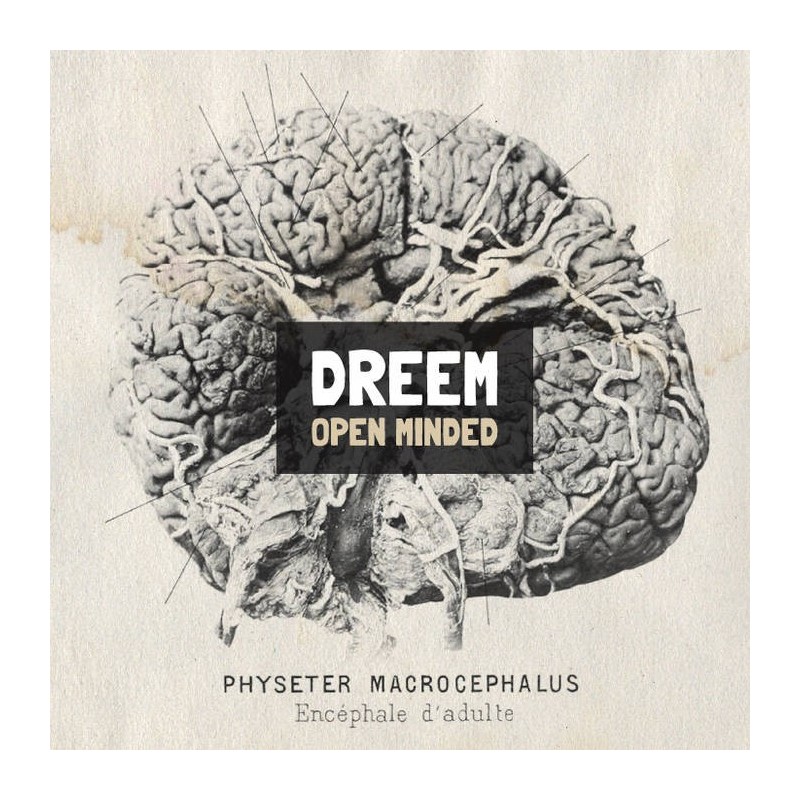 DREEM - OPEN MINDED (2013) DREEM - OPEN MINDED (2013)
