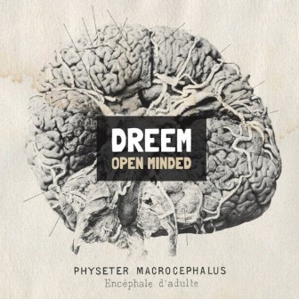 DREEM - OPEN MINDED (2013)