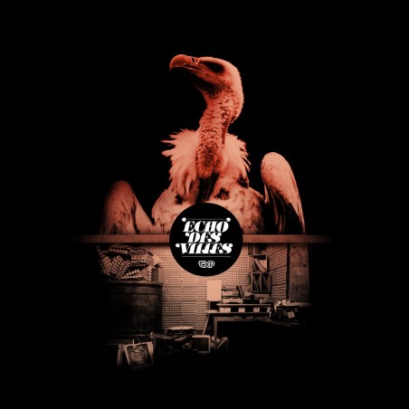 EXP - ECHOS DES VILLES (2012)